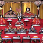 ひな人形と紅梅