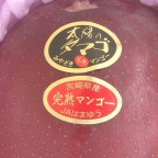 マンゴーフェア