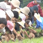 坂元棚田オーナーの田植え