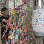 油津商店街七夕まつり