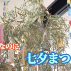 八朔七夕まつり