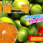 日南一号 販売中