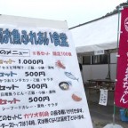日南お魚ふれあい食堂