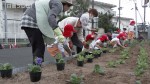 広島カープ歓迎で園児が植栽