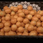 完熟キンカン たまたま