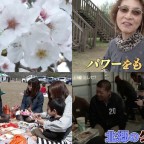 愉快な花見客を今年もリポート