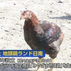 地頭鶏ランド日南 創立10周年