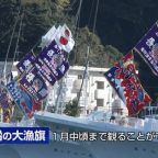 カツオ船の大漁旗飾り