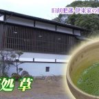 飫肥城下町 豫章館「お茶処」