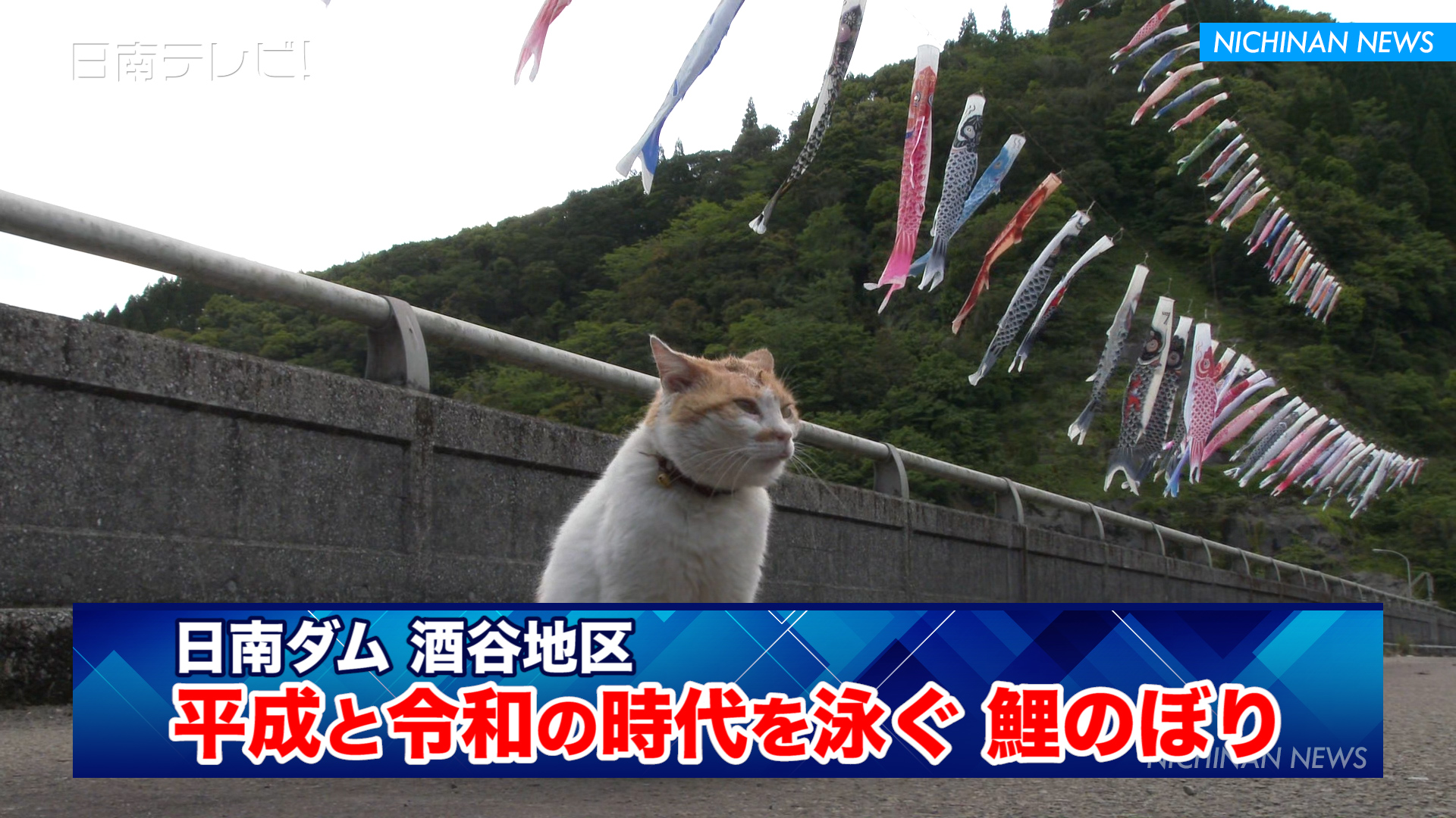 平成と令和の時代を泳ぐ鯉のぼり