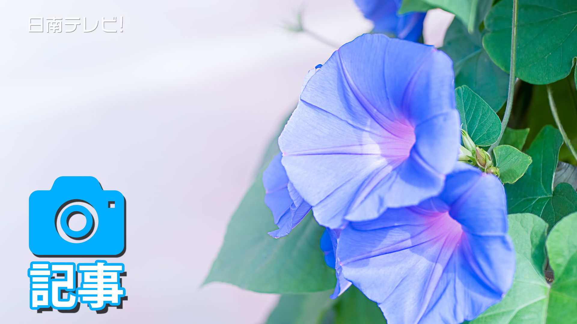 九州南部 梅雨明け