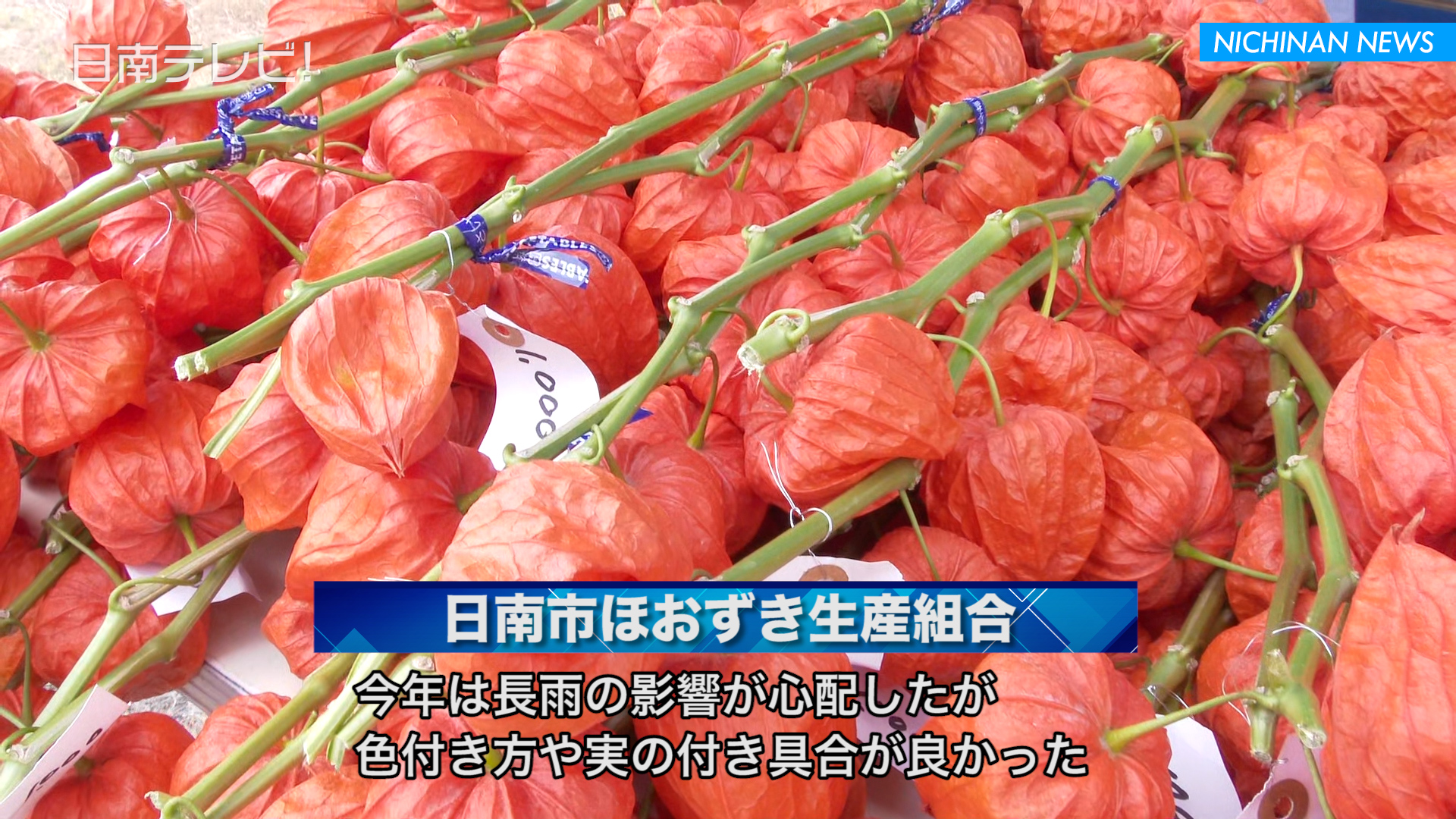 お盆前恒例「ほおずき市」