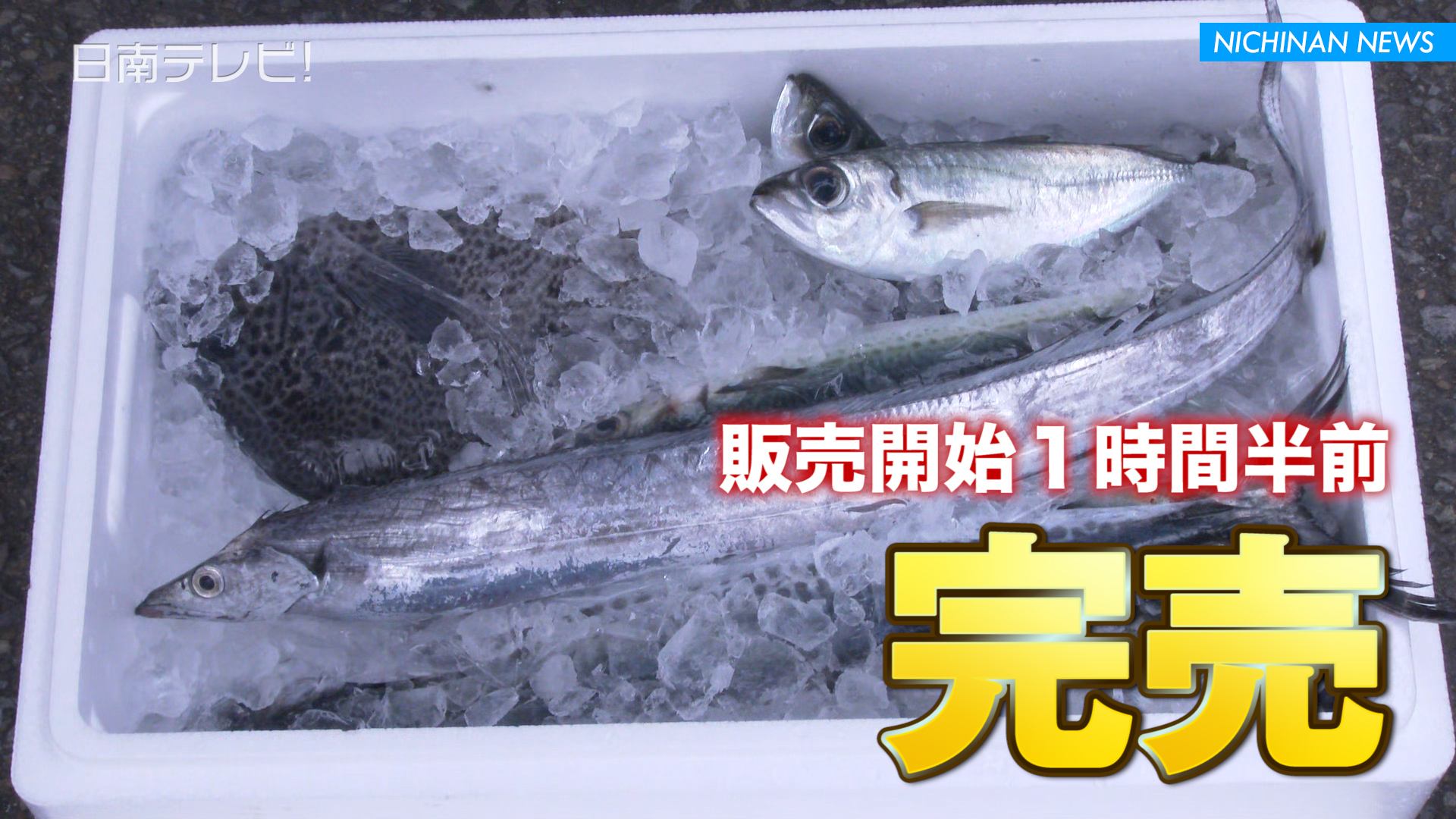 なんごう日の出市