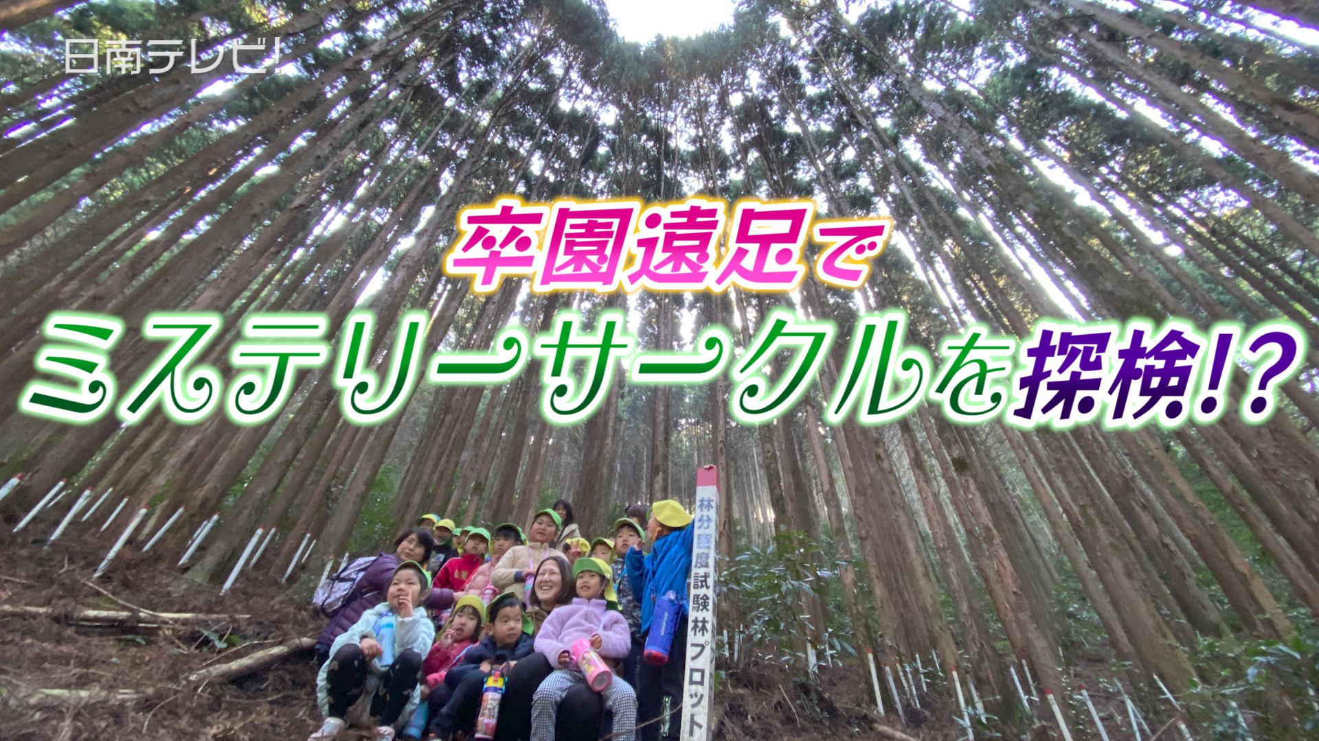 卒園遠足で飫肥杉ミステリーサークルを探検!?