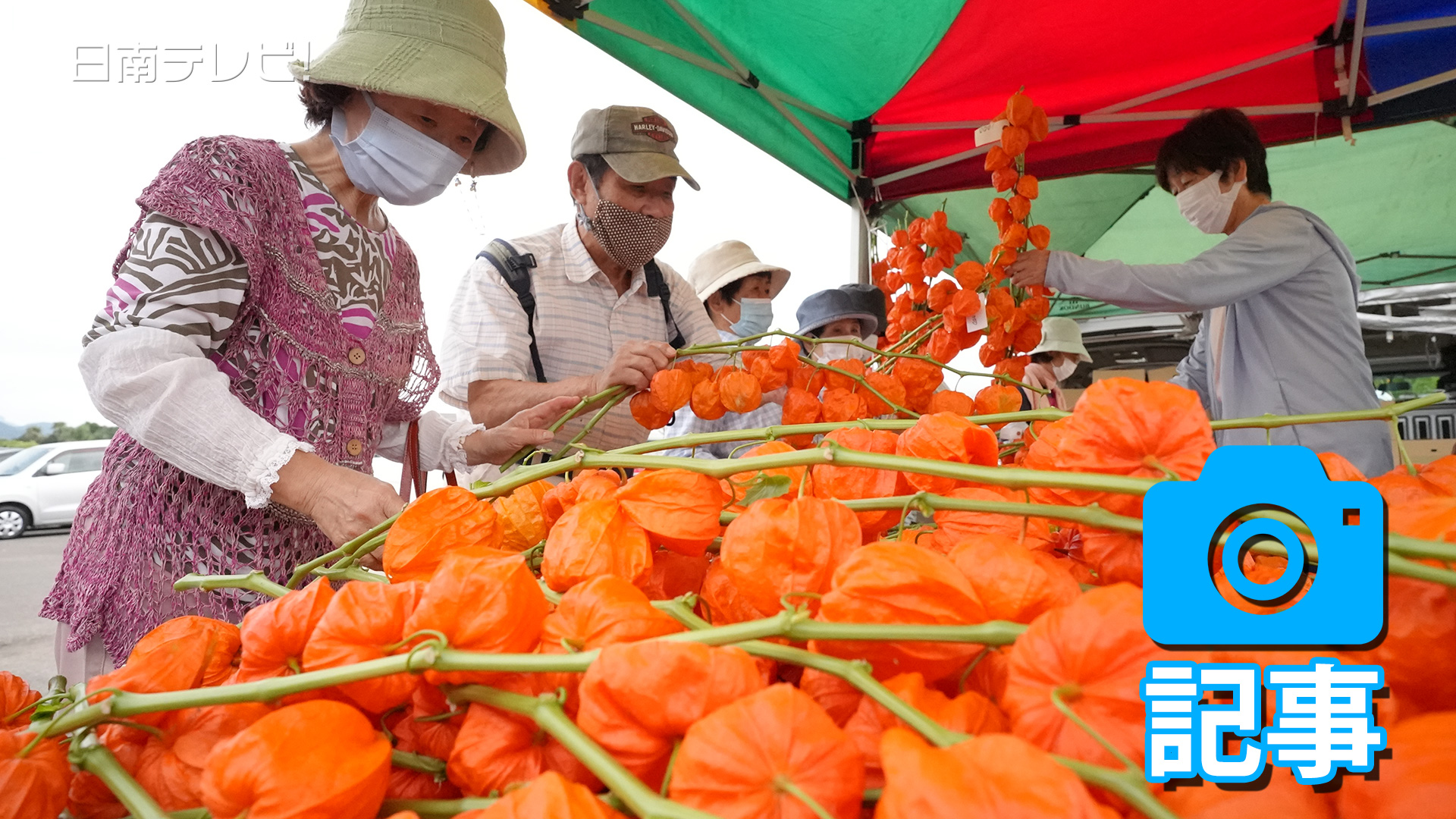 今年は日南総合運動公園で「ほおずき市」開催