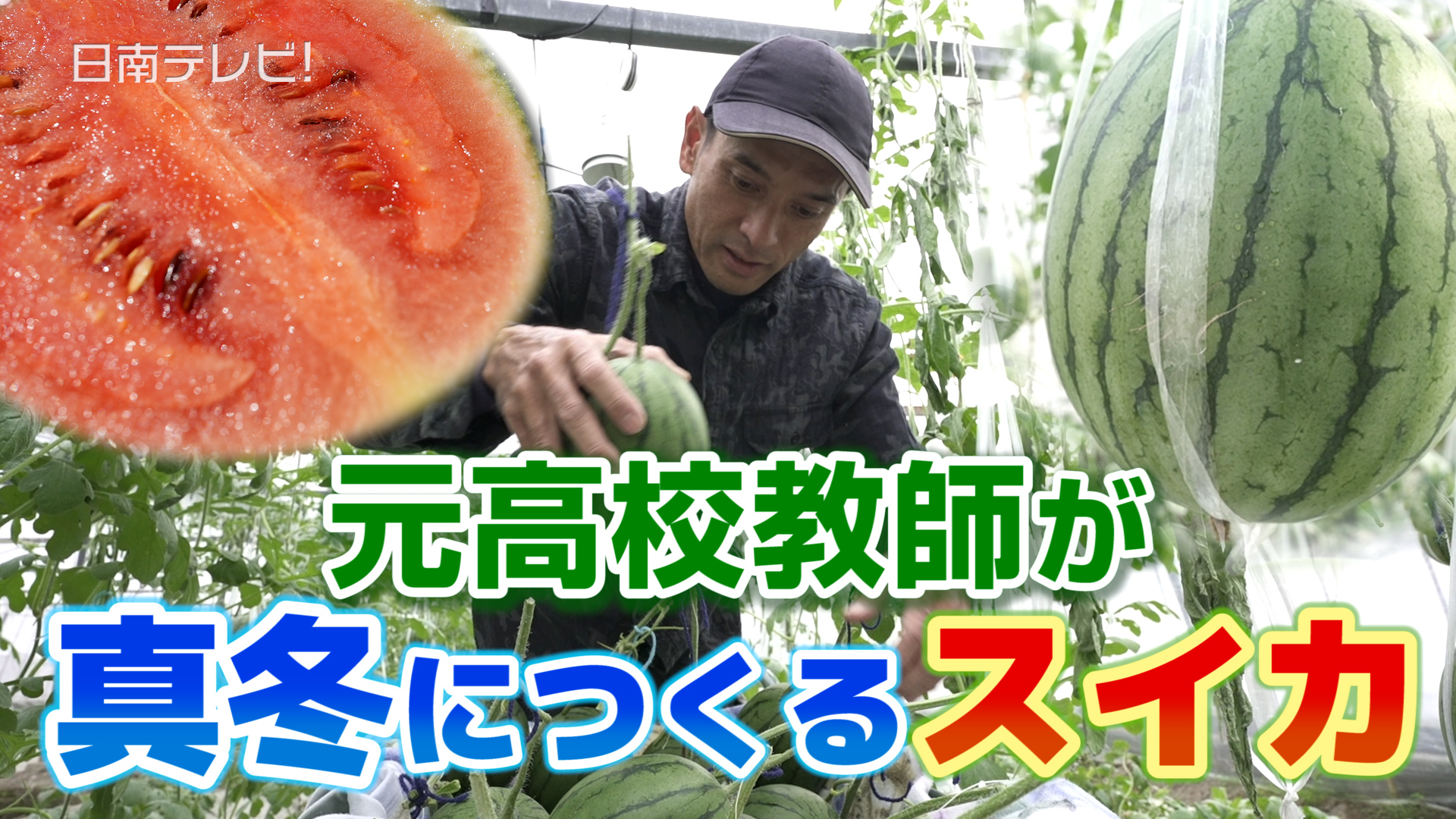 元高校教師が真冬につくるスイカ