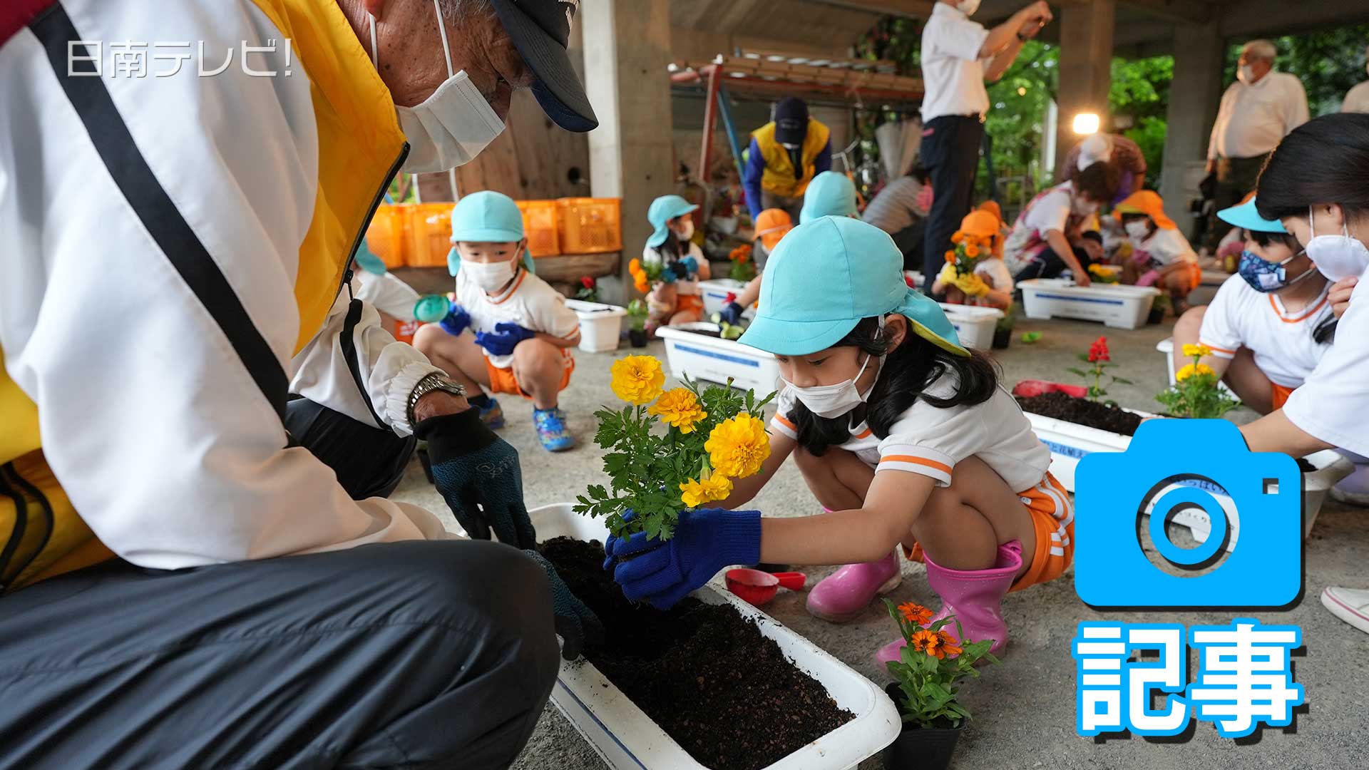 飫肥地区花いっぱい運動