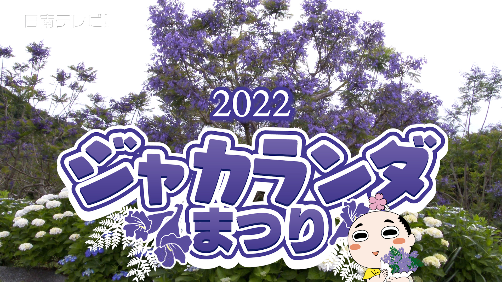 ジャカランダまつり2022開催中