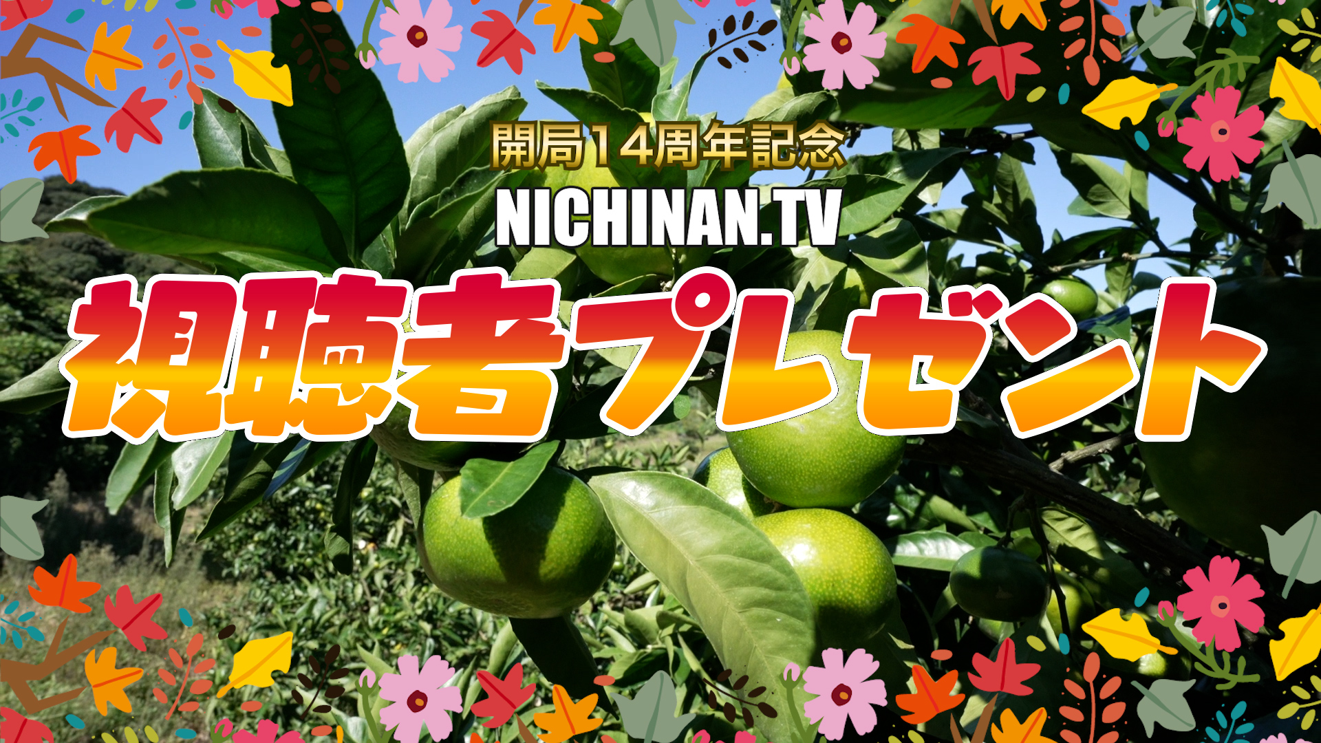 活き伊勢海老や温州ミカン　視聴者プレゼント
