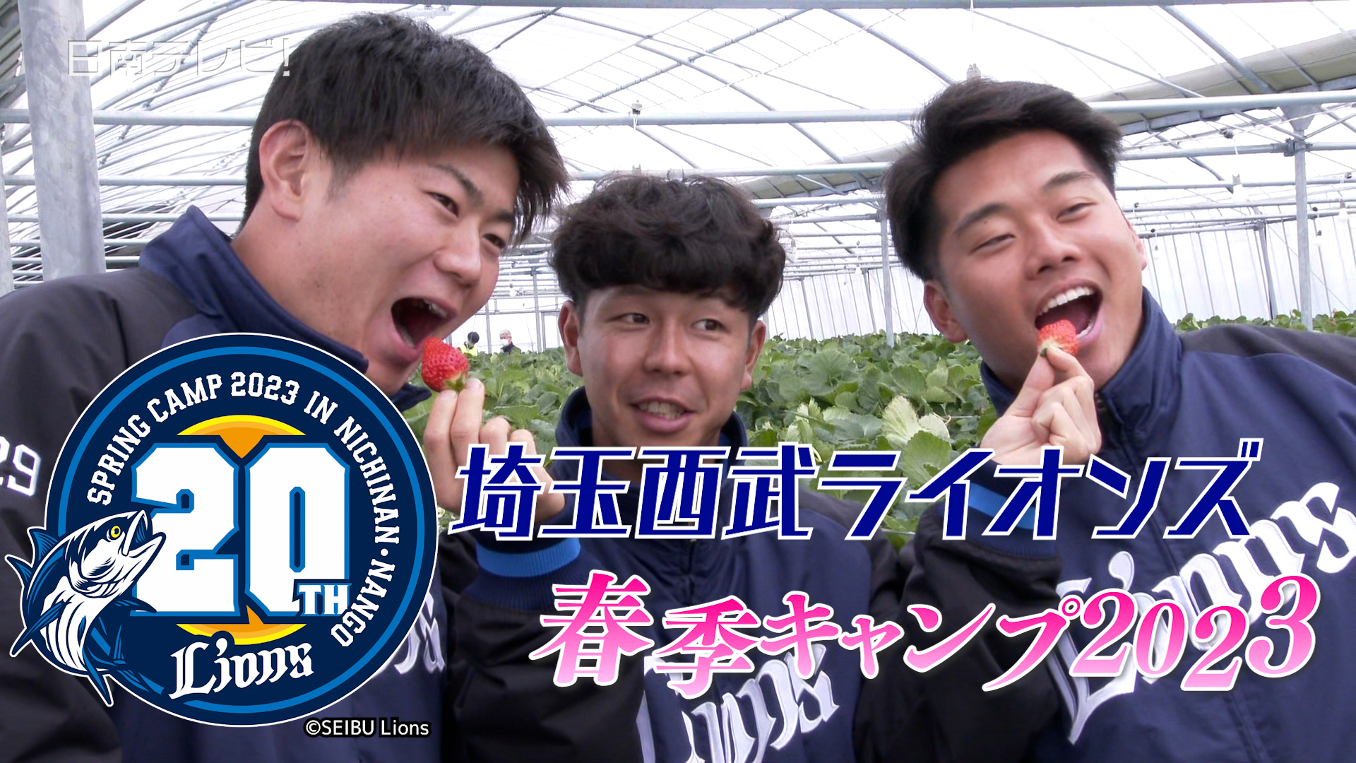 西武 新人・蛭間選手らがイチゴ狩り体験