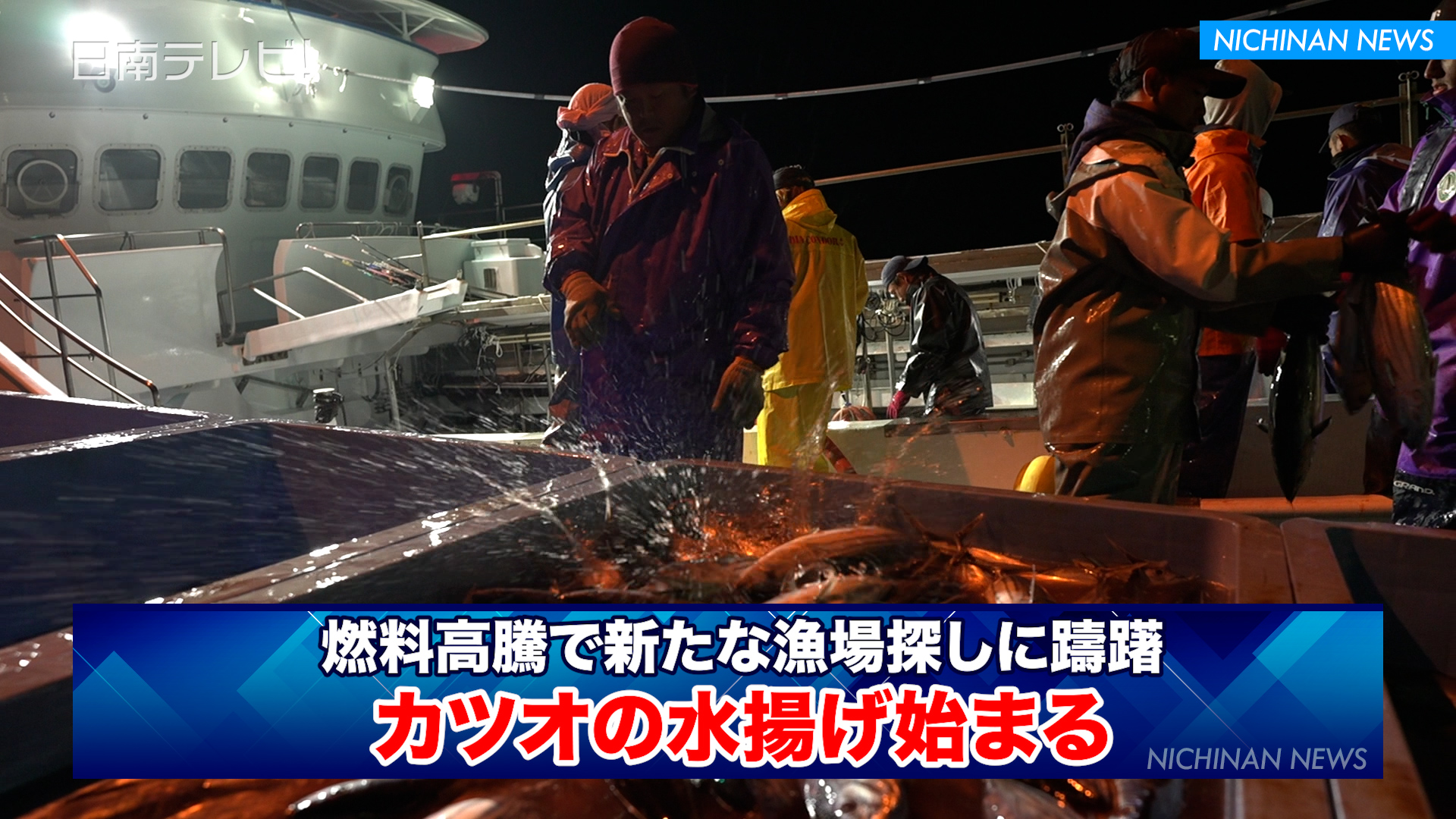 カツオの水揚げ始まる