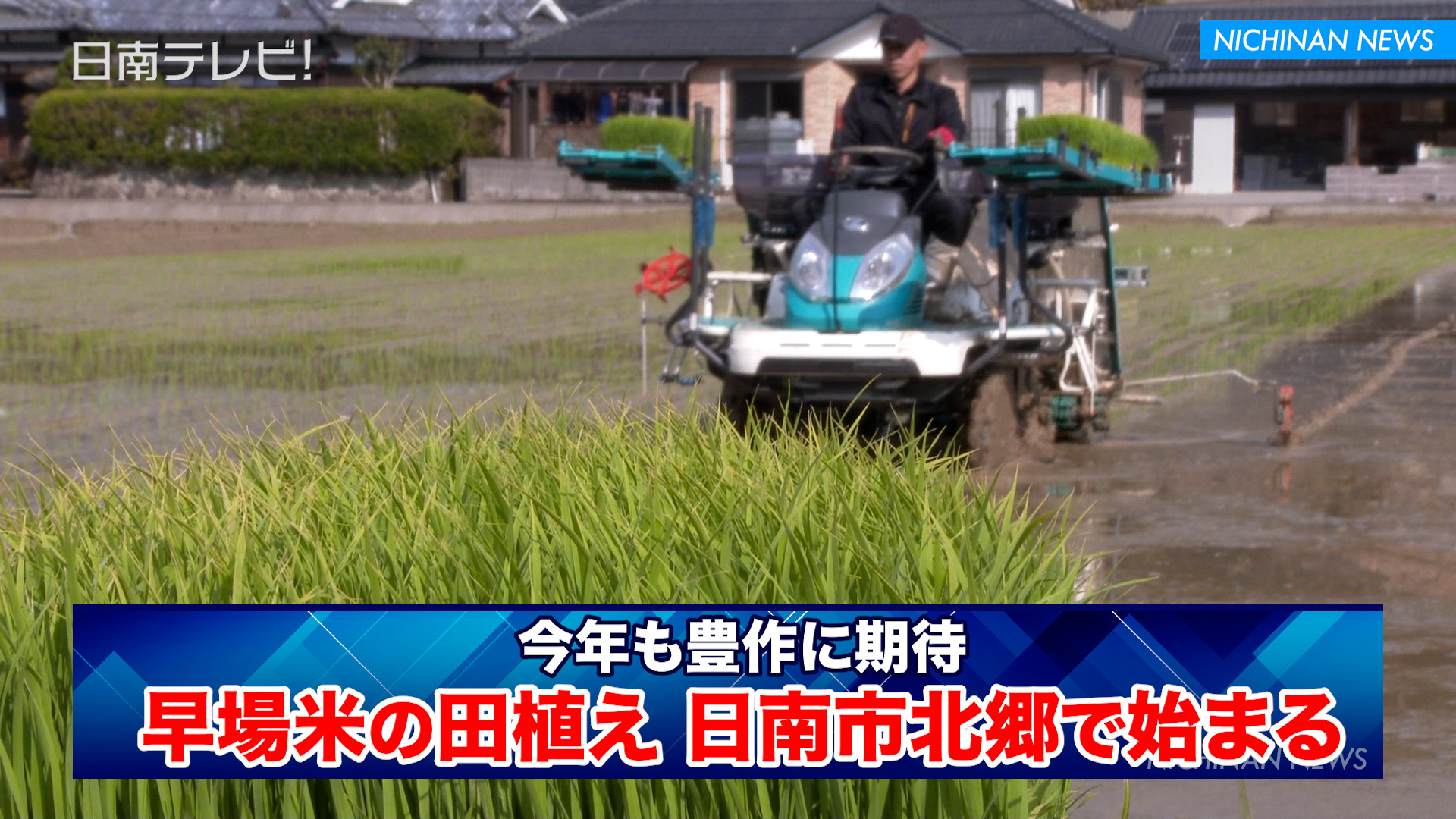 早場米の田植え 日南市北郷で始まる
