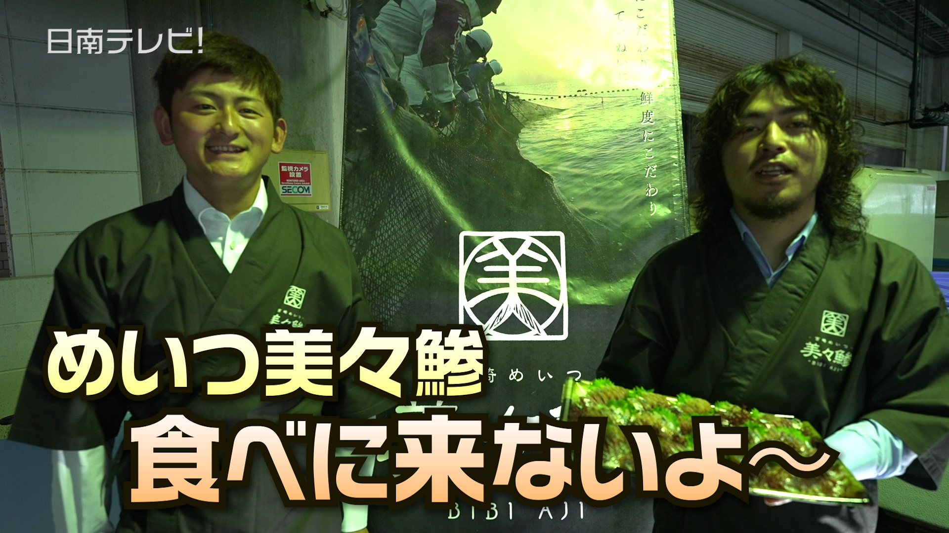 めいつ美々鯵 初競り出荷開始