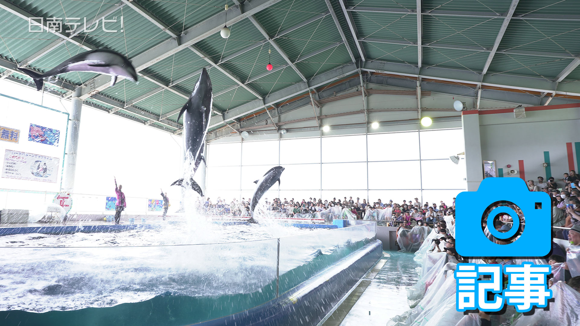 イルカランド10周年「感謝祭」