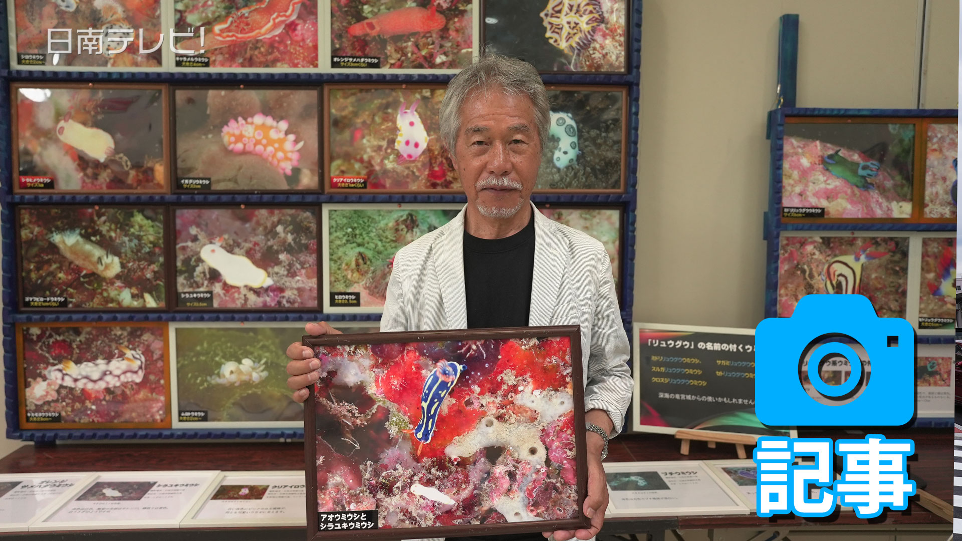 「ウミウシ」の写真展