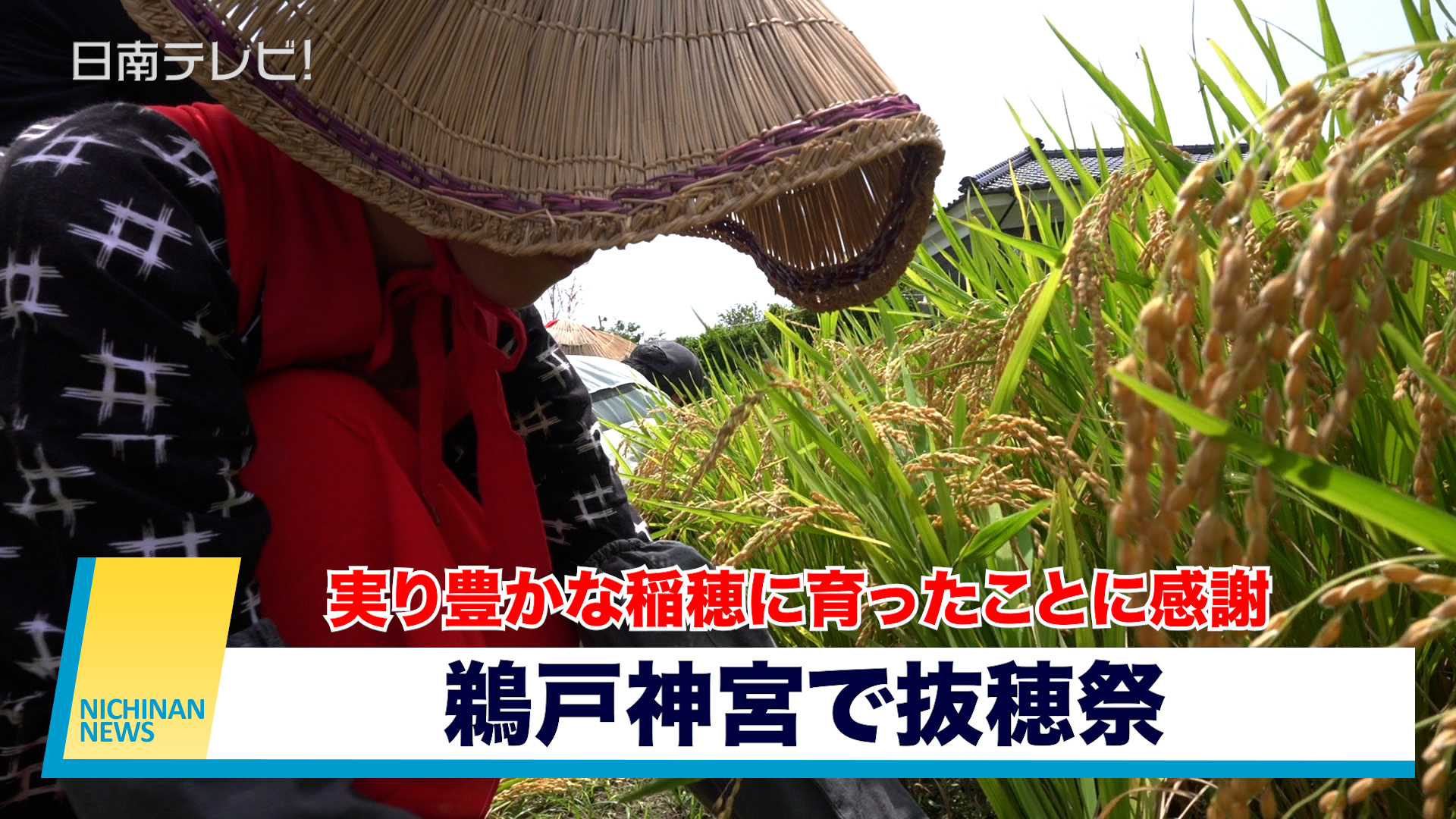 鵜戸神宮で抜穂祭