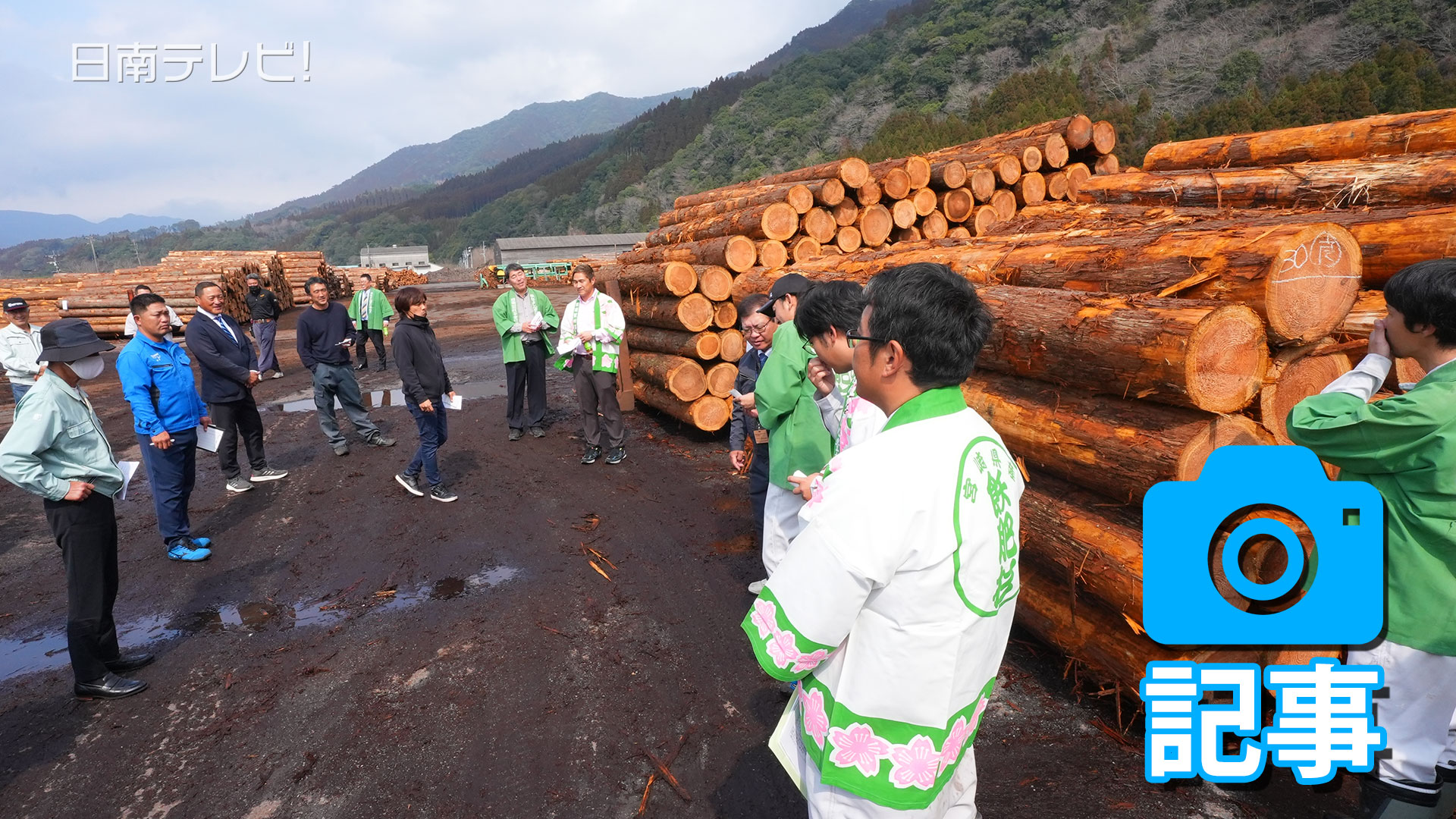 野中金右衛門木材市