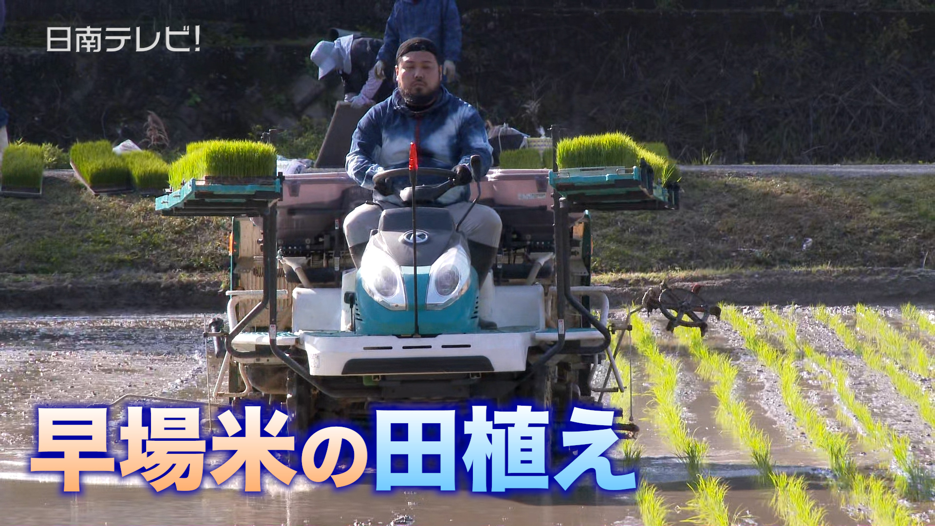 早場米の田植え 北郷で始まる