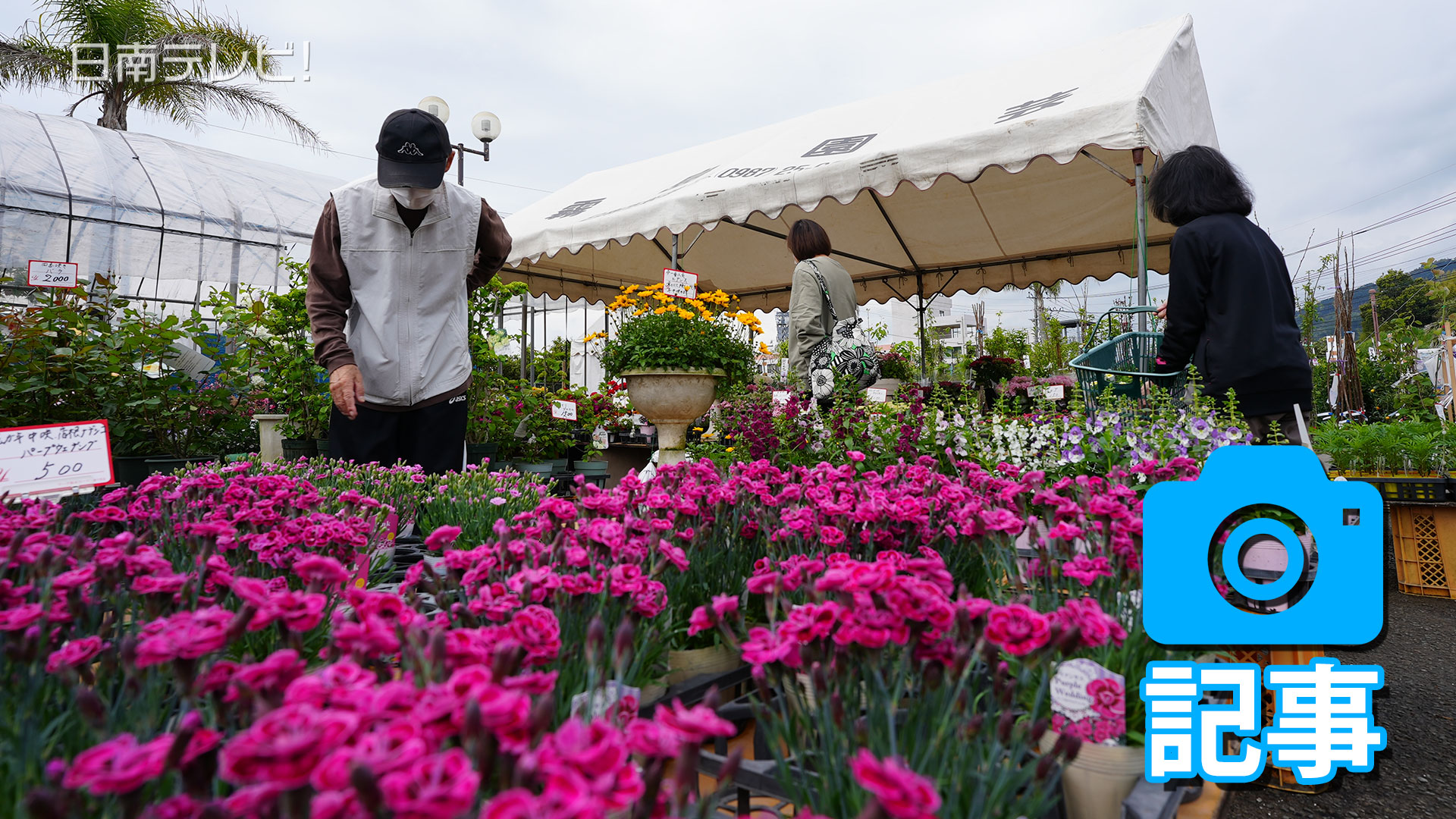 春のにちなん植木市