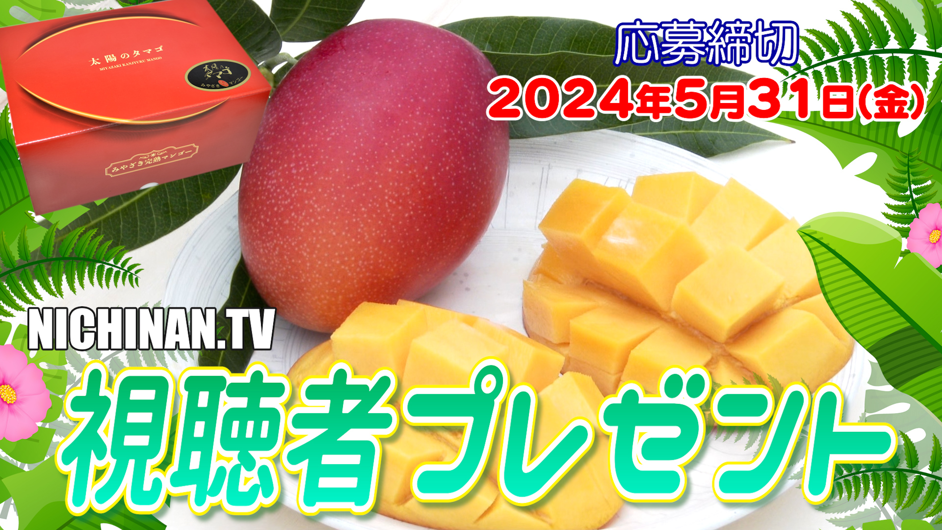 宮崎完熟マンゴー「太陽のタマゴ」など視聴者プレゼント
