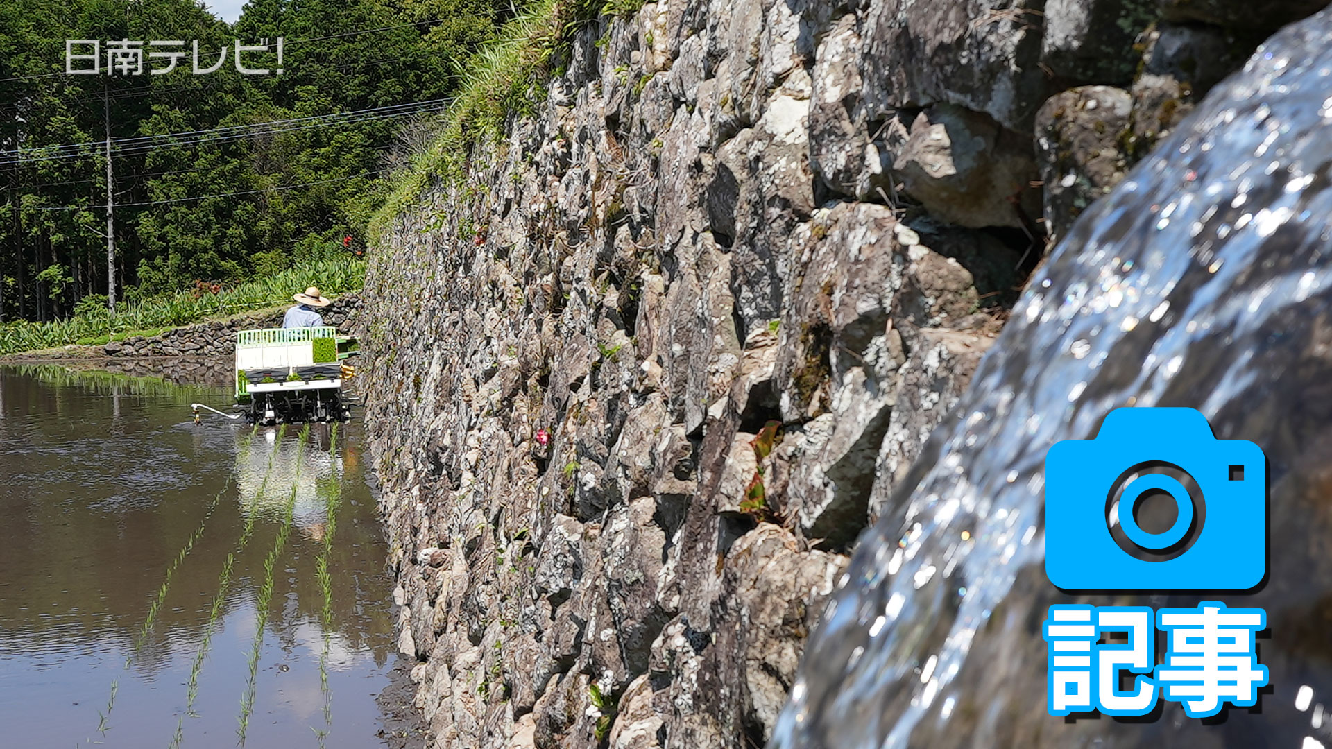 「坂元棚田」田植え