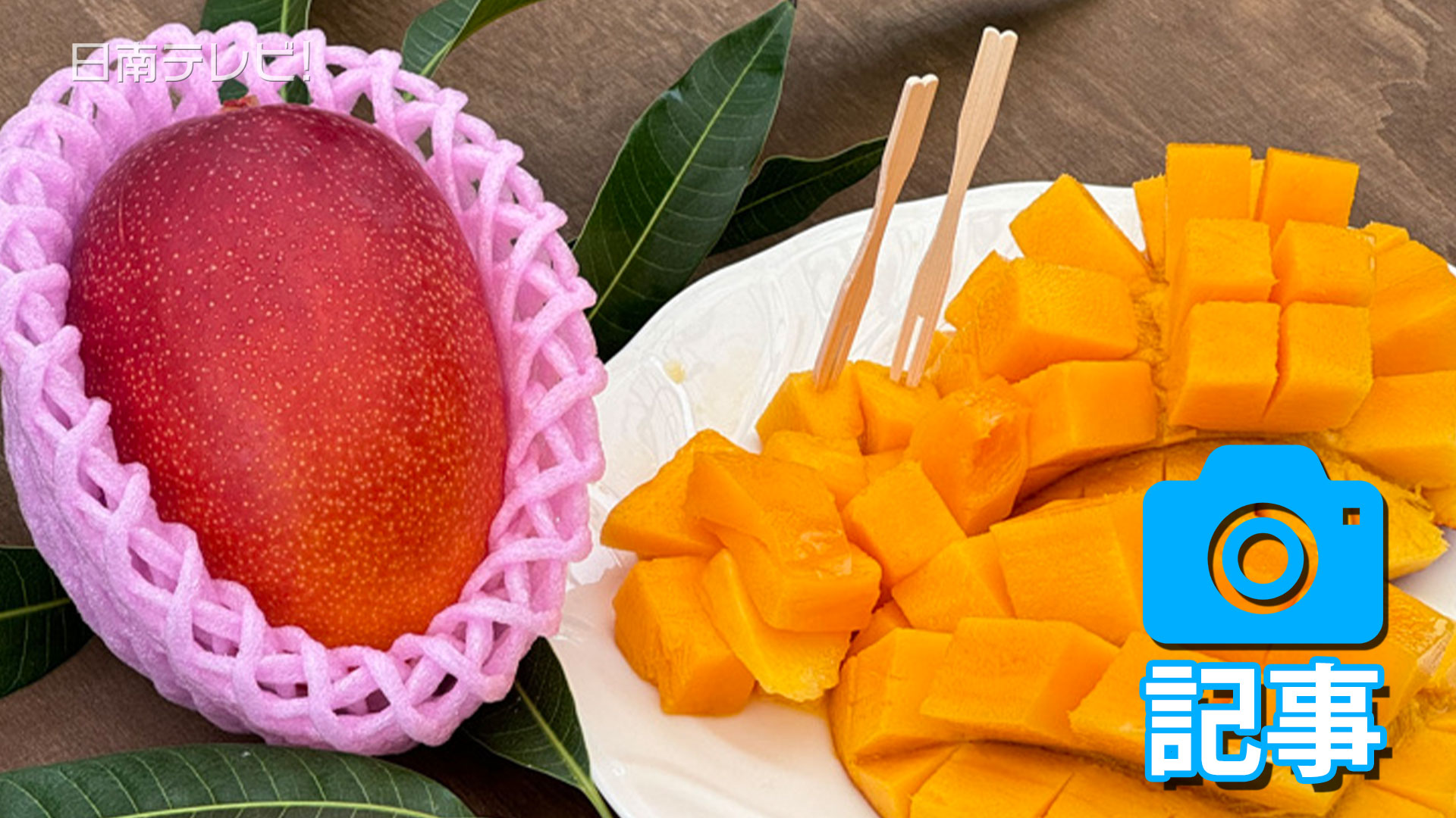 マンゴーフェア