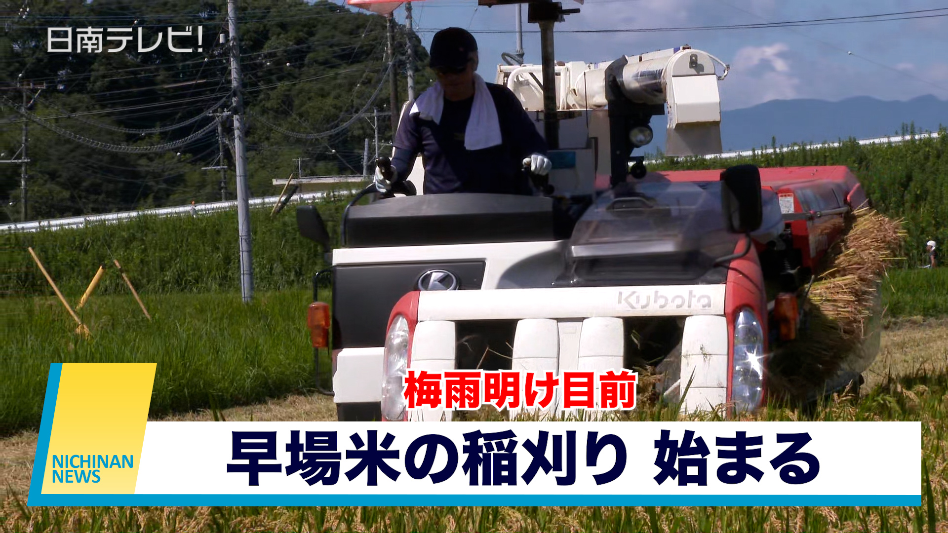 梅雨明け目前 　早場米の稲刈り始まる