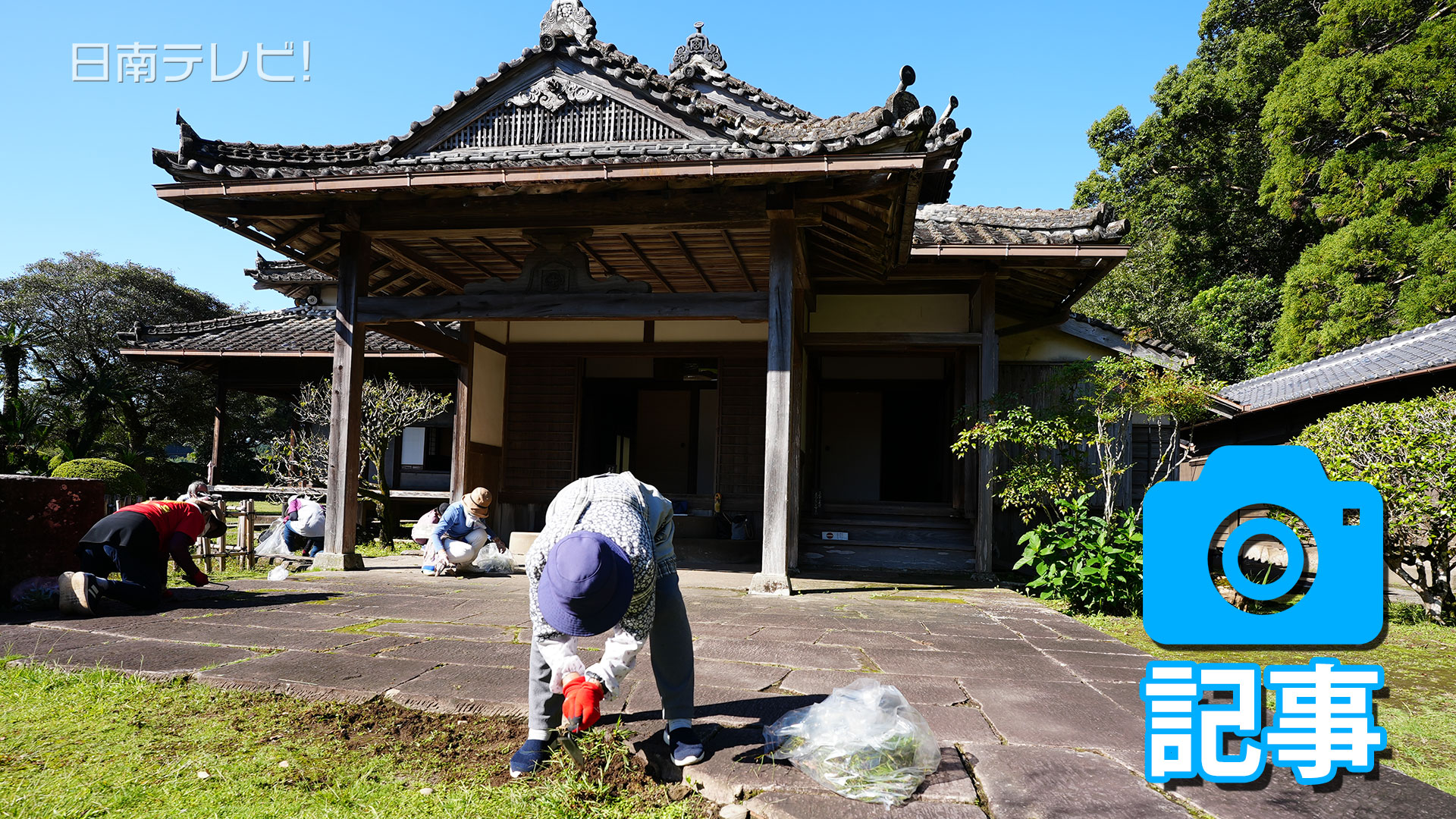 飫肥城跡の周辺を奉仕作業