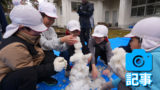 鳥取県日南町が飫肥小学校へ雪をプレゼント