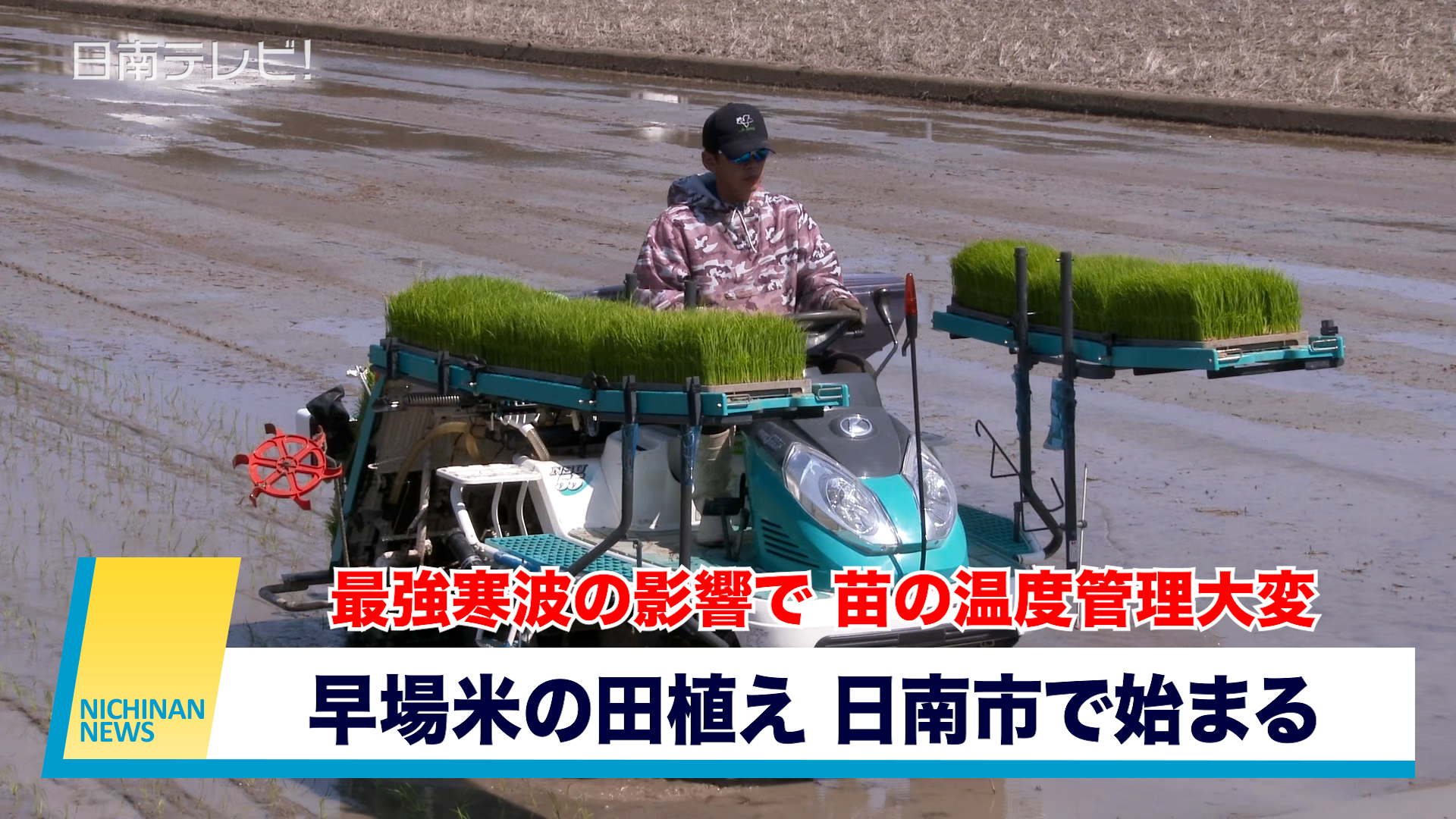 早場米の田植え 日南市で始まる