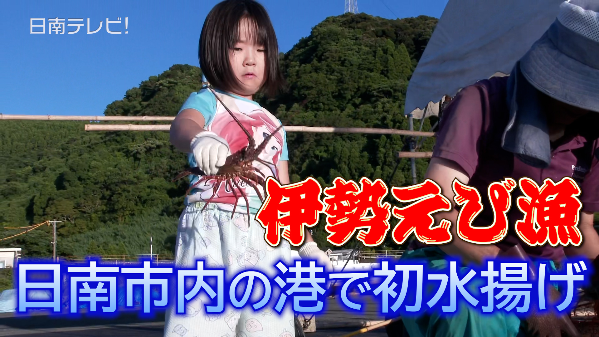 秋の味覚・伊勢えび漁シーズン到来　日南市内の港で初水揚げ