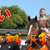 第48回 飫肥城下まつり
