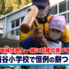 酒谷小学校で恒例の餅つき体験