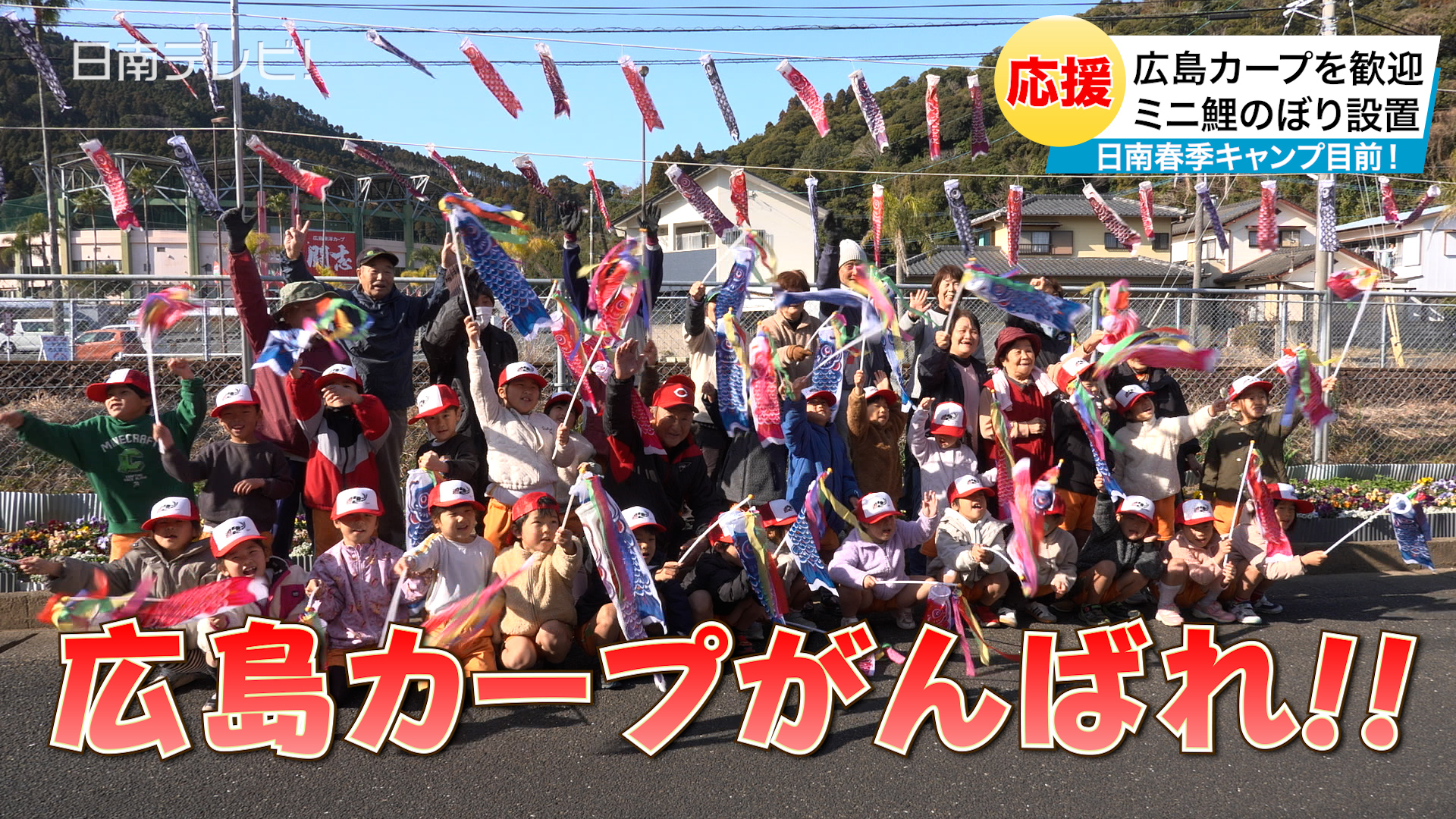 春季キャンプ目前！カープを歓迎　日南市で500匹のミニ鯉のぼり