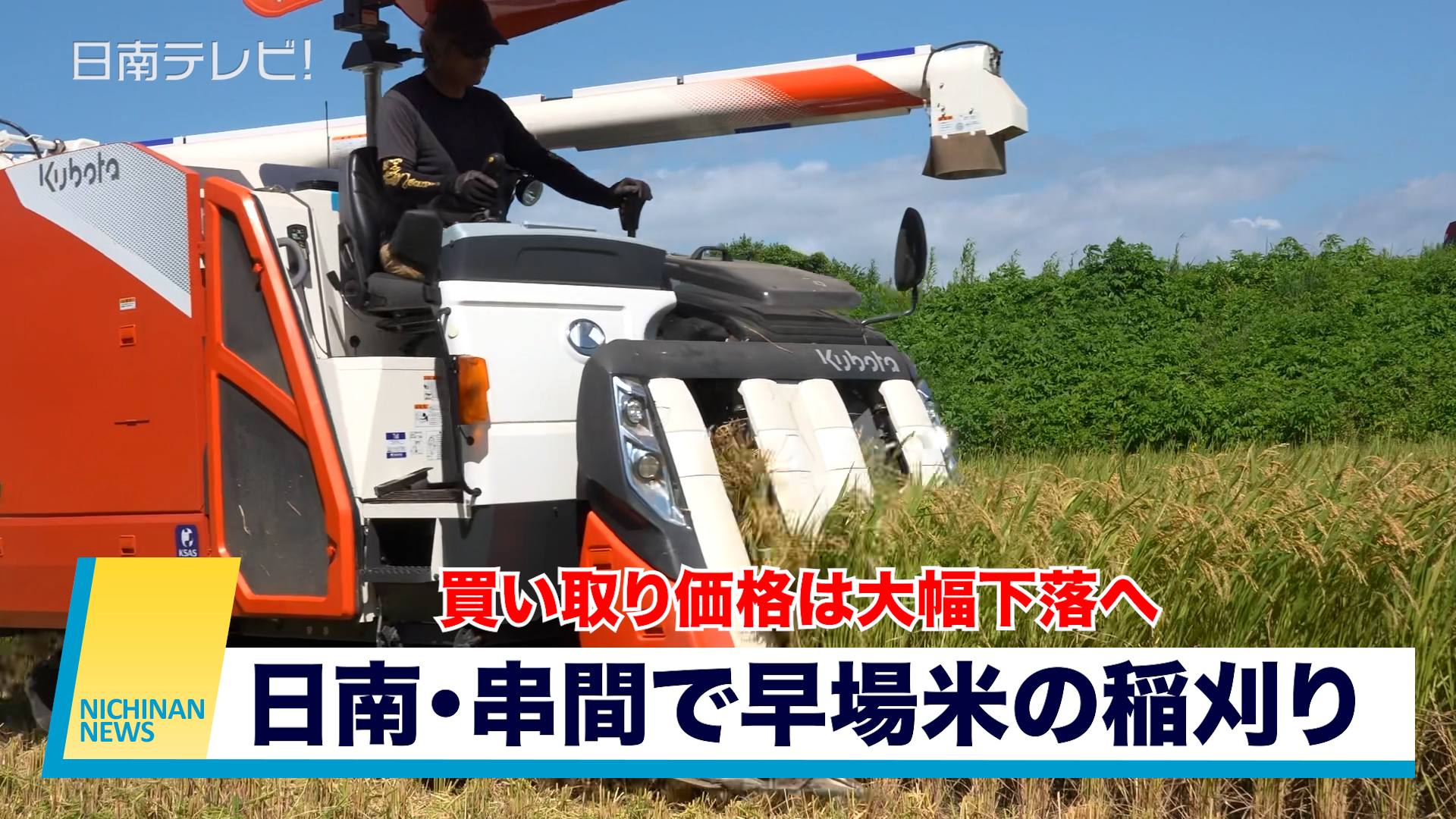 日南・串間で早場米の稲刈り　買い取り価格は大幅下落へ